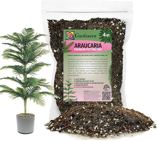 GARDENERA Premium Araucaria Potting Soil Mix - Perfect Balance of Nutrients, Drainage, and Aeration for Healthy Araucaria Trees - 4 Quart