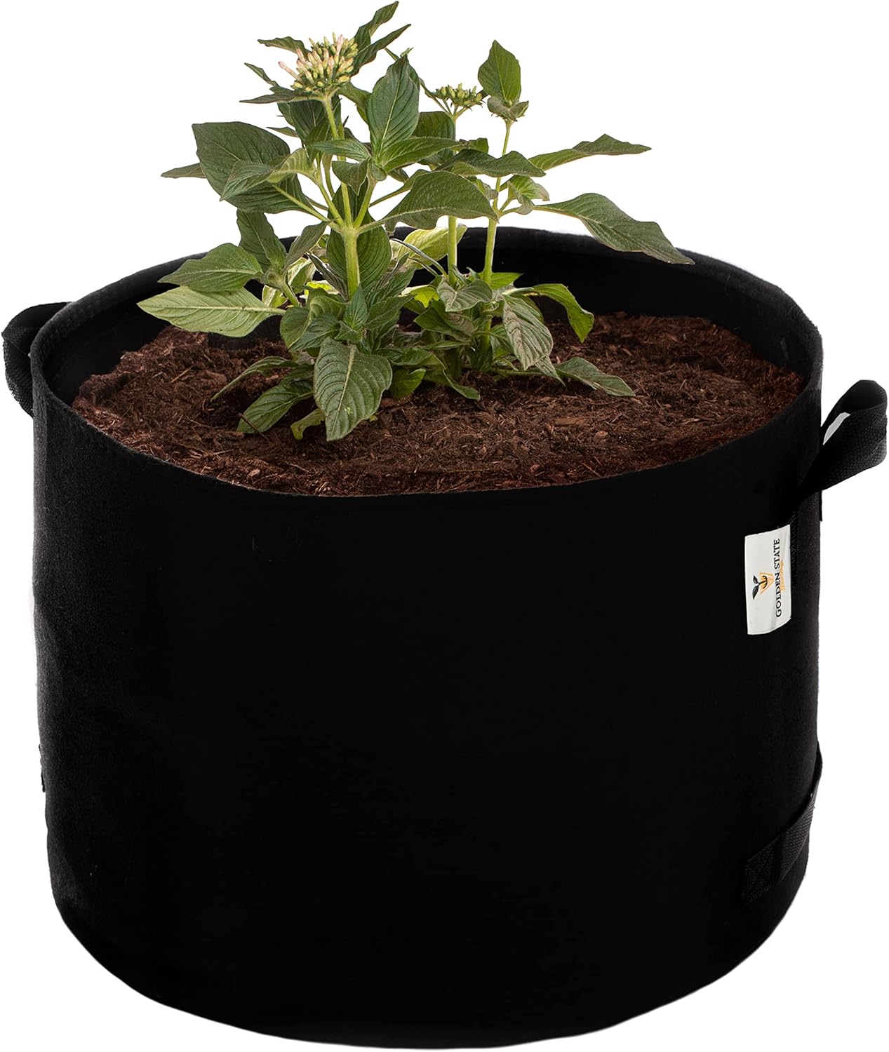Grow Bags: 5-Pack (Size: 7 Gallon): 300gsm Black Felt Fabric, Biodegradable and eco-Friendly Material. (Handles + Dumping Handles-pat.Pend).