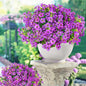 14 Bundles Fake Mums Fake Plants Artificial Mums for Outdoors Artificial Flowers for Yard Porch Home Garden Fall Indoor Outdoor Decor(Purple)