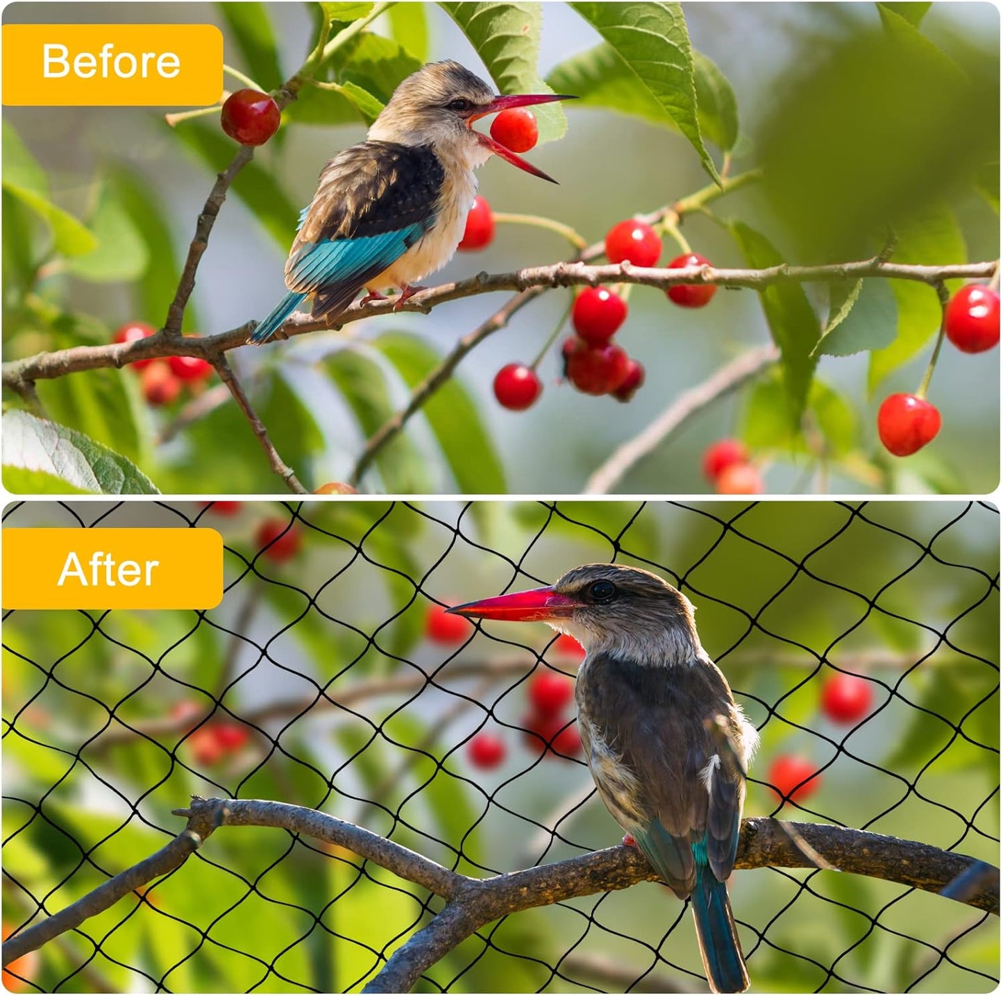 Nylon Bird Netting 50'x50' with 2.4" Square Mesh Hawk Net for Chicken Run, Poultry Netting Aviary Nets Garden Bird Net for Chicken Coop Nettings Roof Hawk Proof