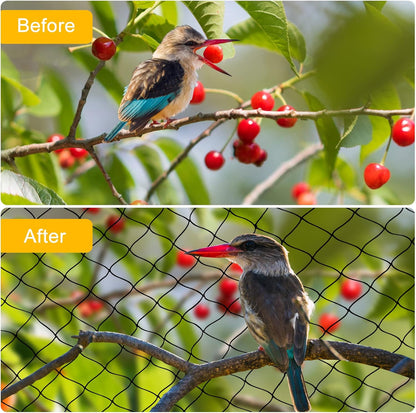 Nylon Bird Netting 50'x50' with 2.4" Square Mesh Hawk Net for Chicken Run, Poultry Netting Aviary Nets Garden Bird Net for Chicken Coop Nettings Roof Hawk Proof