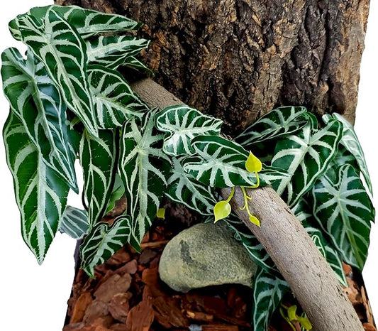 Woyrise Reptile Plants, Terrarium Hanging Plant Vines, Artificial Leaves with Suction Cup, Bearded Dragon Tank Accessories for Gecko Lizard Snake Frog Tortoise Decorations - Alocasia Velvet