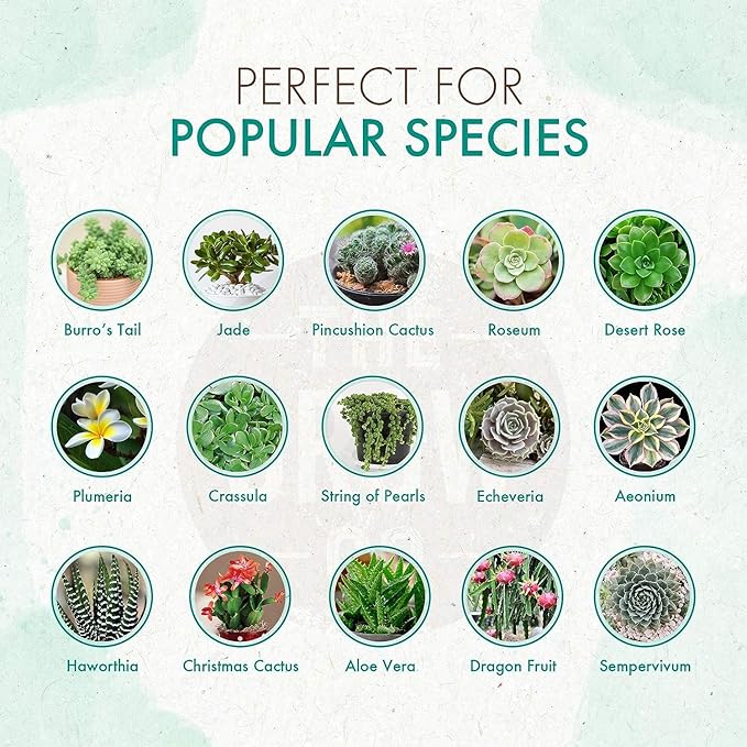 The Grow Co Succulents & Cactus Plant Food - Gentle Long Lasting Formula, Slow Release Fertilizer (Liquid Alternative) for All Potted Succulent, Cacti & Aloe Vera Plants (5 oz)