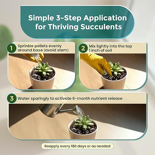 Leaves and Soul Succulent Fertilizer Pellets |13-11-11 Slow Release Pellets for All Cactus and Succulents | Multi-Purpose Blend & Gardening Supplies, No Fillers | 5.2 oz Resealable Packaging