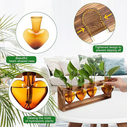 Plant Propagation Stations Heart Plant Terrarium Kit Gift for Women Plant Lover Glass Vases