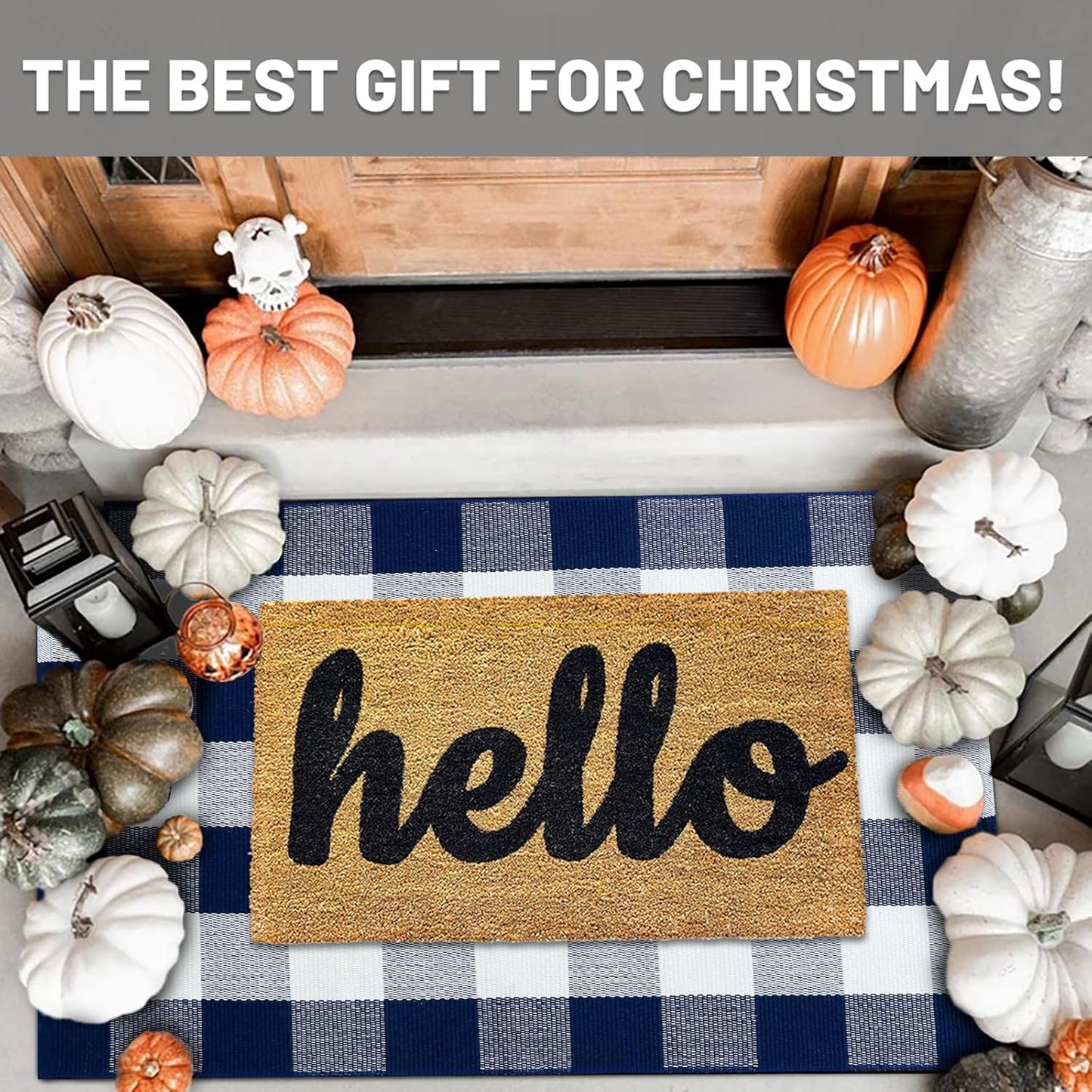 IOHOUZE Buffalo Plaid Checkered Rug 27.5" X 43" Front Door Mats, Washable Area Rugs for Front Porch Decor, Spring Summer Welcome Mats Outdoor, Navy White Rug for Farmhouse/Entryway/Home Entrance