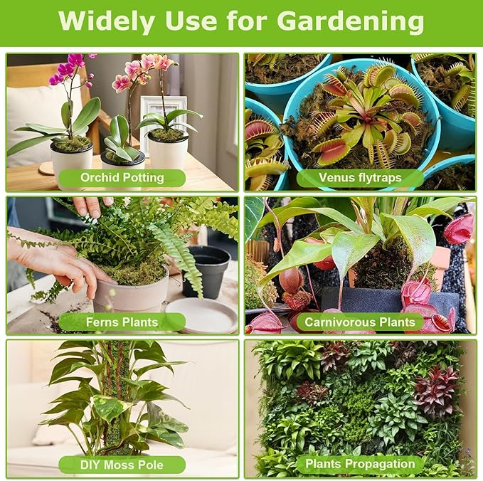 Legigo 1.3LBS Premium Forest Moss for Plants, 25 QT Natural Green Sphagnum Moss for Potted Plants, Dried Orchid Moss Potting Mix, Soft Real Moss Decorative for Houseplants Orchids Succulents Reptiles