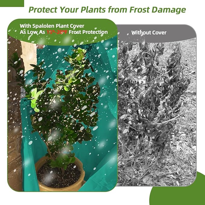 2 Pack Plant Covers Freeze Protection, 48"W x 72"H Winter Frost Blanket 2.36 oz/yd² Fabric Frost Cloth Tree Covers Shrub Jacket Bag with Zipper & Drawstring for Plants Fruit Tree Shrub Potted - Green
