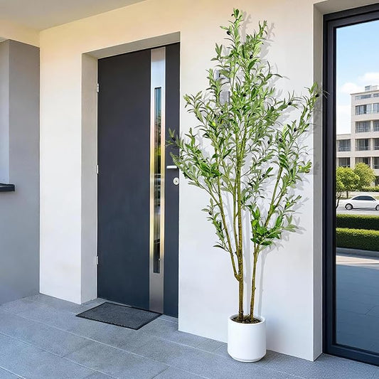 Artificial Fake Olive Tree 6FT Tall 1Pack with White Planter Faux Silk Olive Tree for Home Living Room Office Decor Faux Artificial Plants Indoor with Fruit & Free Moss