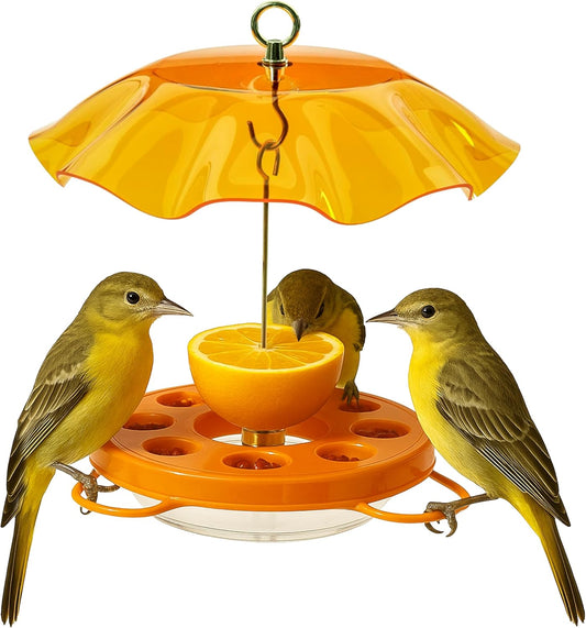 Birds Choice Oriolefest Oriole Bird Feeder with Protective Weatherguard | Hanging Bird Feeder for Jelly, Oranges & Nectar | 4 Feeding Ports & Trays with Ant Moat & Bee Guards | 12 oz, Orange