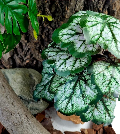 Woyrise Reptile Artificial Plants for Terrarium Decor, Amphibian Habitat Decorations Bearded Dragon Tank Accessories fit Crested Gecko Leopard Lizard Chameleon Snake Frog - Fake Green Heuchera