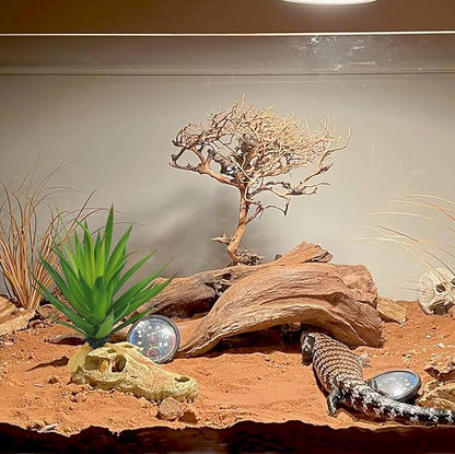 Woyrise Reptile Plants Succulent, Artificial Desert Plant for Terrarium Decor, Bearded Dragon Tank Accessories fit Gecko Lizard Chameleon Ball Python Snake - Agave Sisalana