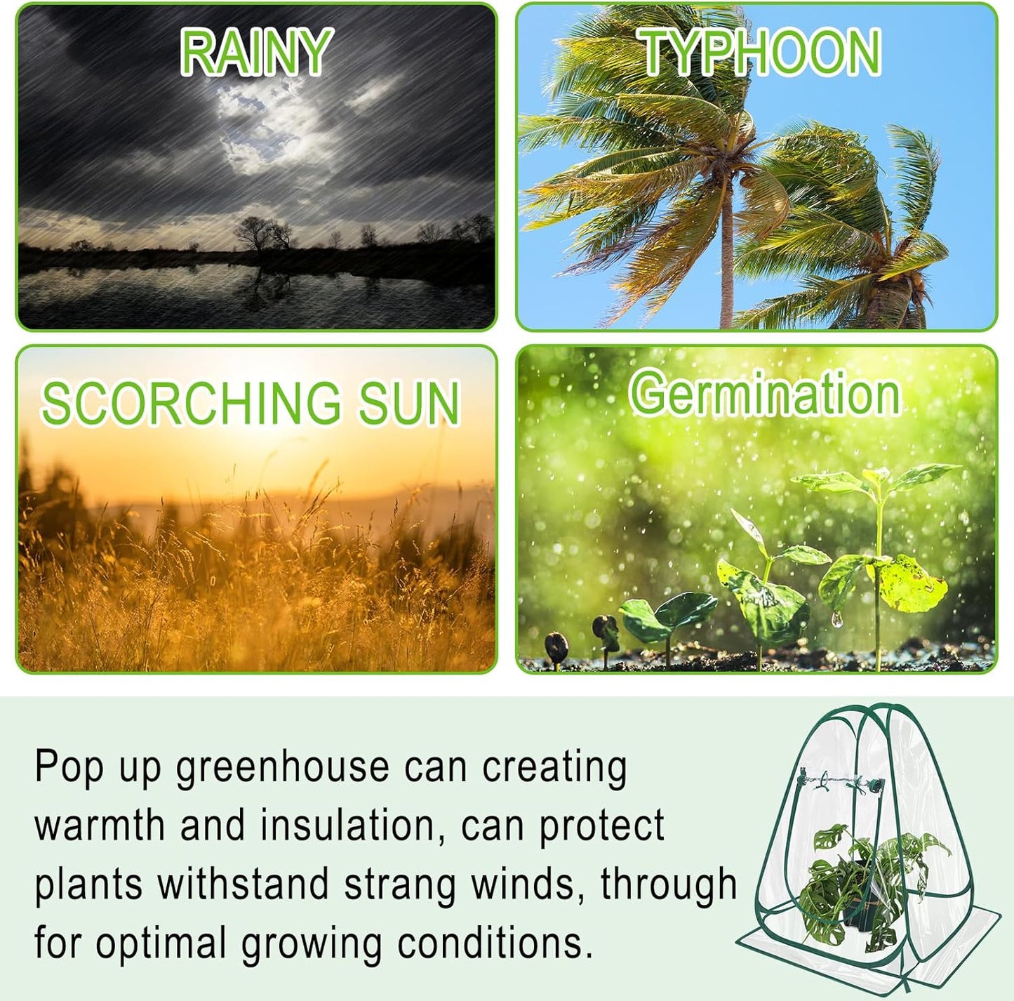 Suzile 4 Pcs Pop up Small Greenhouse Easy to Install Portable Winter Mini Greenhouse PVC Clear Flowerpot Cover Plant Grow Green House for Indoor Outdoor Gardening, 25.2 x 25.2 x 25.6 Inches