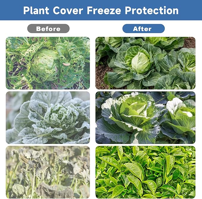 Plant Covers Freeze Protection,10 FT x 50 FT 1.1oz/yd² Thicker Floating Row Blanket Cover Fabric Plant Cloth for Winter Frost Snow and Garden Protection
