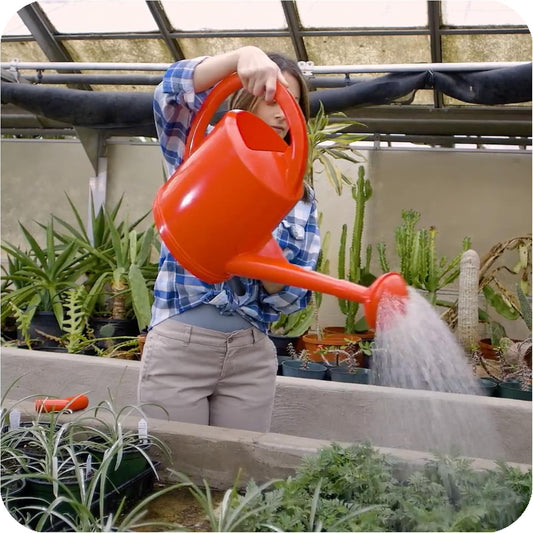 Consolidated Plastics Durable Swiss Watering Can with UV Protection, Ergonomic Handle for Indoor/Outdoor Gardening, Made in Switzerland (12 Liter, Red)