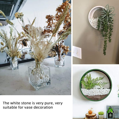 45lb White Rocks for Plants,Potting,Succulents Aquarium Fish Tank Garden Vases Decorative Pebbles Gravel Rocks Stones