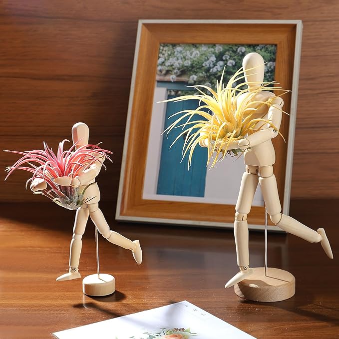ANPHSIN 2 Sizes Wooden Air Plant Holder - Unique Jointed Mannequin Airplant Stand with Adjustable Poses, Tillandsia Display Container for Gifts Home Office Decoration, 2 pcs