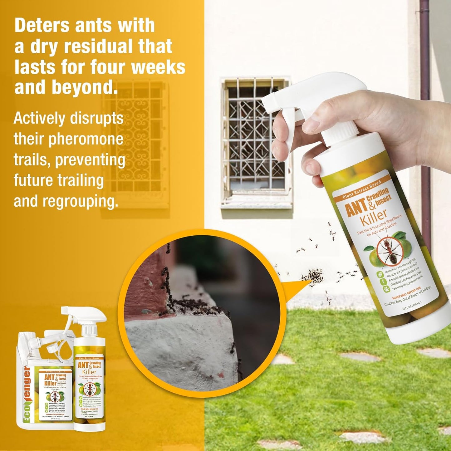 EcoRaider Ant & Crawling Insect Killer (34 OZ), 100% Fast Kills, Also Kills Fire Ants. Lasting Repellency, Safe for Children & Pets