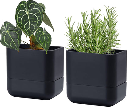 Phoenix Vine 6.5-Inch Wall Mounted Self-Watering Planter Pot for Indoor Houseplants and Herbs | Modern Hanging Planter for Window Sills, Bathroom Walls, Home & Office Décor, Black, Set of 2, 01-WP-B-2