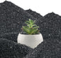 45lb Black Cactus Pea Gravel Rocks,1/4 Inch Pebbles for Indoor Plants, Natural Succulent Rock and River Rocks Decorative for Aquariums, Vases, Outdoor Gardening, Top Dressing for Potted Plants