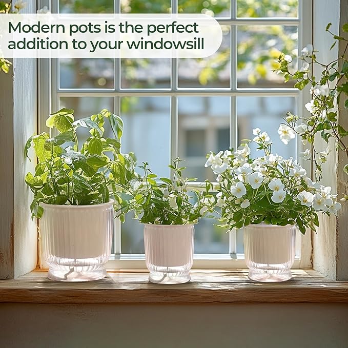 T4U 6 Inch Self Watering Pots for Indoor Plants, 4 Pack Self Watering Planter, Self Watering Pot with Reservoir, Clear Self Watering Pots for Indoor Plants, African Violets (4 Pack, 6", Clear)