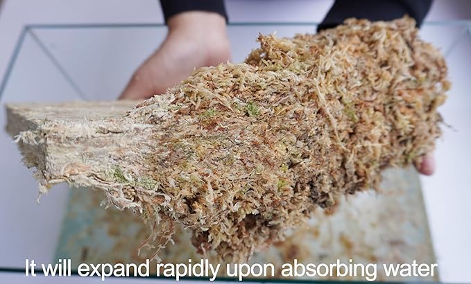 Sphagnum Moss 34QT for Plant Propagation, Great Orchid Potting Mix, Help with Maintain Humidity, 10oz