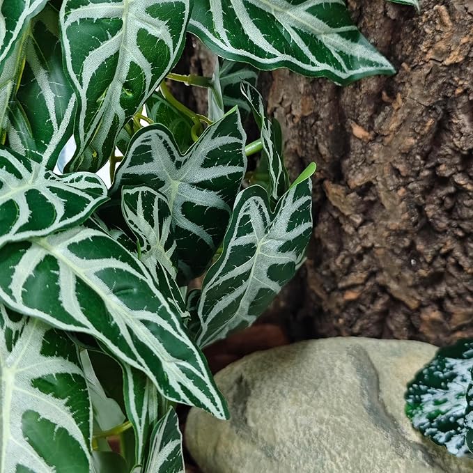 Woyrise Reptile Plants, Terrarium Hanging Plant Vines, Artificial Leaves with Suction Cup, Bearded Dragon Tank Accessories for Gecko Lizard Snake Frog Tortoise Decorations - Alocasia Velvet