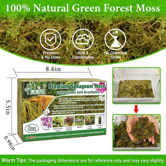 Halatool 8OZ Premium Sphagnum Moss for Plants, 12QT Green Moss for Plants Indoor Potted Orchid Moss for Repotting Succulent Carnivorous Terrarium Gardening Reptiles