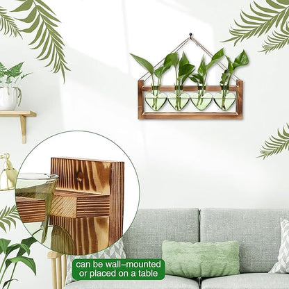 Plant Propagation Stations Heart Plant Terrarium Kit Gift for Women Plant Lover Glass Vases