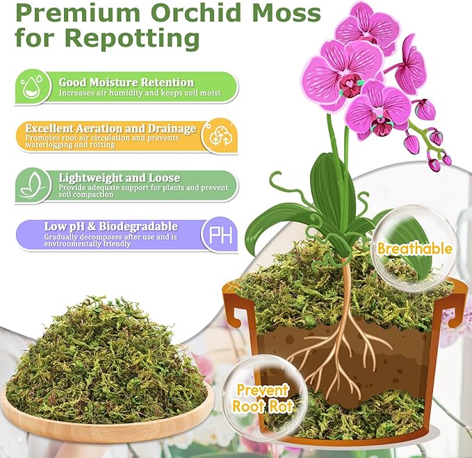 Legigo 2.6LBS Premium Forest Moss for Plants, 50 QT Natural Green Sphagnum Moss for Potted Plants, Dried Orchid Moss Potting Mix, Soft Real Moss Decorative for Houseplants Orchids Succulents Reptiles