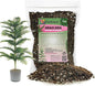 GARDENERA Premium Araucaria Potting Soil Mix - Perfect Balance of Nutrients, Drainage, and Aeration for Healthy Araucaria Trees - 1 Quart