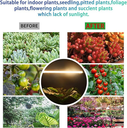 One Strip Growing lamp 2-Pack, Full Spectrum LED Grow Light Strips for Indoor Plants with Auto ON/Off Timer & 4 Dimmable Levels for Green House Hydroponics Succulent (One Head 2 Pack)