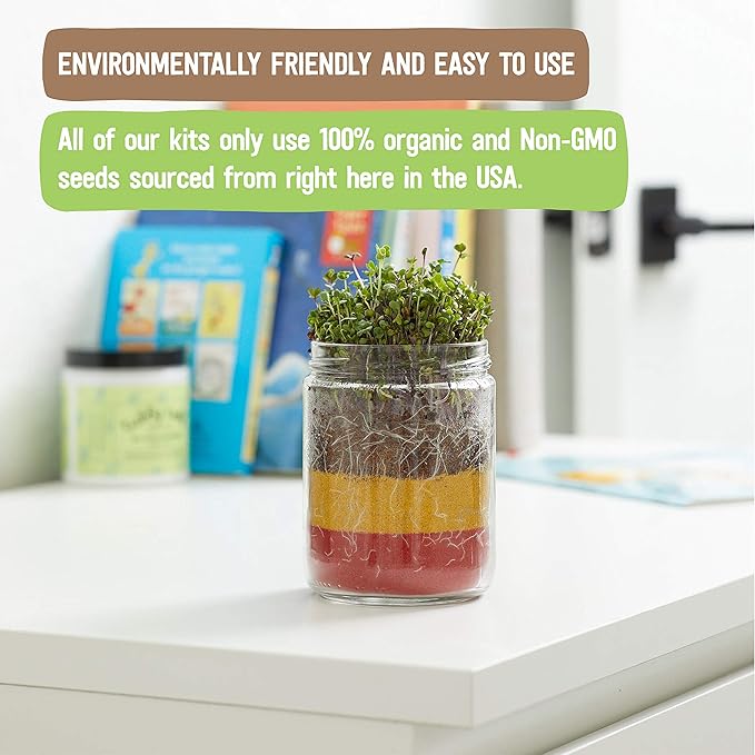 Back to the Roots Terrarium Grow Kit - Easy-to-Use DIY Set for All Ages Small