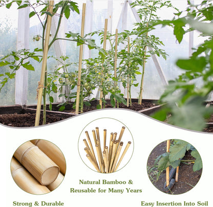 Plant Stakes 16inch, 20Pcs Natural Bamboo Sticks Garden Stakes, HAINANSTRY Plant Support Stakes for Indoor & Outdoor Plants, Orchid Tomato Vegetable Stakes for Garden