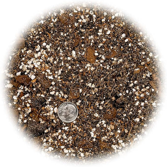 Gardenera Fiddle Leaf Fig Soil Mix - 20 Quart - Premium Blend of Peat Moss, New Zealand Bark, Coco Chips, and Perlite for All Purpose Planting - 4 Bags of 5 Quart