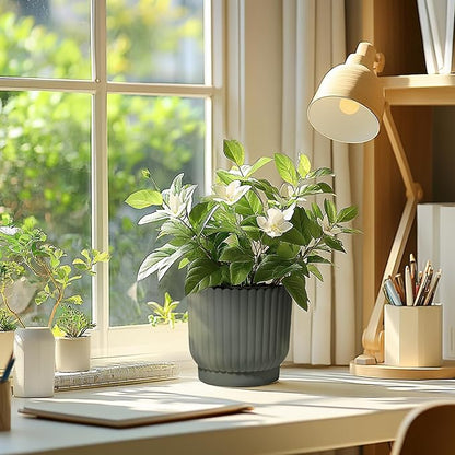 T4U 7 Inch Self Watering Pots for Indoor Plants, 4 Pack Plant Pots, Self Watering Planter for Indoor Plants, Durable Plastic Pots (4 Pack, 7", Gray)