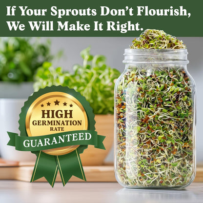 Seedboy Organic Sprouting Seeds - Longevity Blend- Non-GMO, USA Grown Microgreens Mix - Broccoli, Red Kale, Black Kale, Alfalfa - Makes Over 6 Quarts of Sprouts, 20 Servings (8 oz) (Longevity Blend)