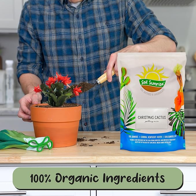 Soil Sunrise Christmas Cactus Potting Soil Mix (8 Quarts) Custom Blend for Xmas, Easter, and Thanksgiving Cactus Tropical Indoor Houseplants