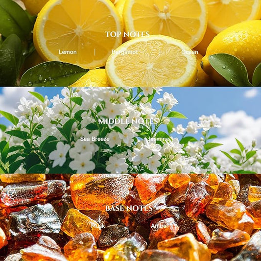 AROMADD Bergamot Coastal Diffuser Oil Inspired by Luxury Hotel Scent 3.38 Fl Oz (100ml), Aroma Diffuser & Hotel Fragrance Diffuser Oil, Essential Oil Diffuser for Aromatherapy, Long-Lasting