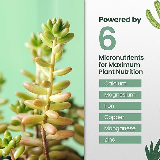 16oz Succulent Fertilizer - Makes 32 Gallons of Succulent Plant Food for Succulents Plants Live, Liquid Fertilizer for Succulents - Promotes Vibrant Leaves, Resilient Roots, and Plump Growth