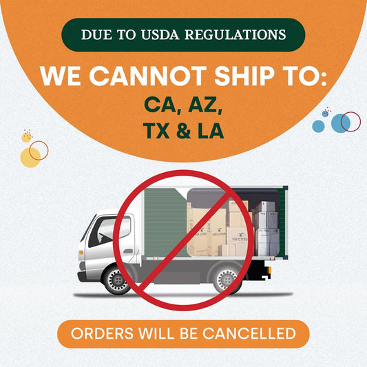 Persian Lime Plant Fruit Trees - Indoor Fruit Trees Live Plants, Outdoor Plants Live, Citrus Tree Pots for Housewarming, Patio, Lime Garden, Cannot Ship: CA,AZ,TX,LA, Real Indoor Tree by Via Citrus