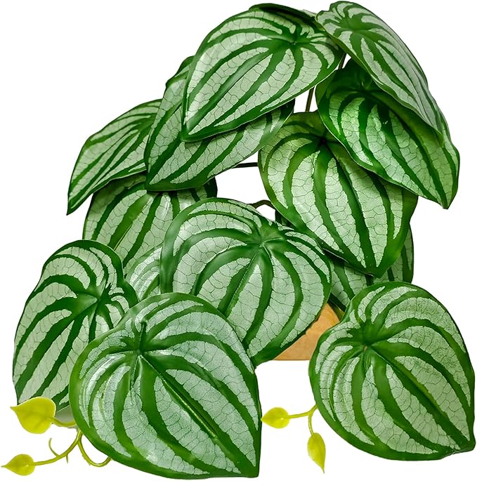 Woyrise Reptile Plants for Terrarium Decor, Ball Python Tank Accessories fit Bearded Dragon Crested Leopard Gecko Lizard Chameleon Snake Frog Tortoise Hermit Crab - Fake Calathea Orbifolia