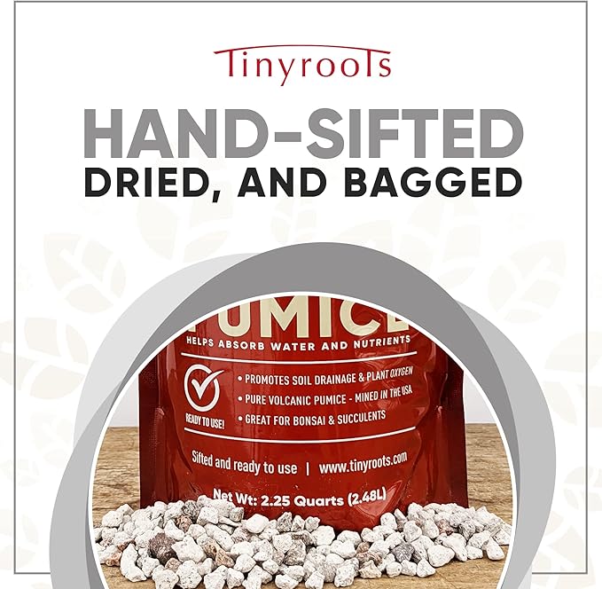 Bonsai Outlet Horticultural Pumice for Plants - Tinyroots 2.25 Quarts Soil Aggregate for Succulents, Cactus and Bonsai Plants