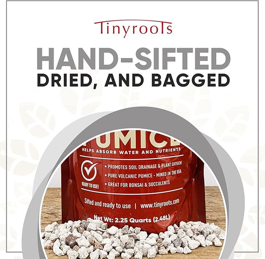Bonsai Outlet Horticultural Pumice for Plants - Tinyroots 2.25 Quarts Soil Aggregate for Succulents, Cactus and Bonsai Plants