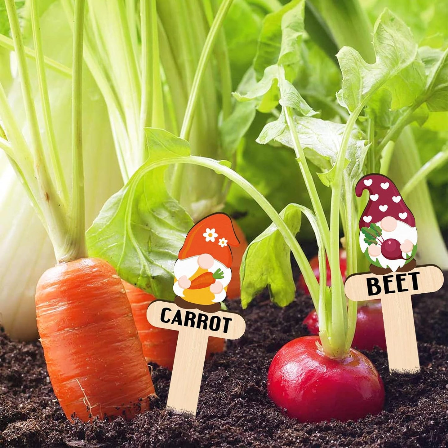 Huray Rayho Gnome Wooden Plant Markers for Vegetable Flowers Garden Potted Plants Tags 15-Pack Funny Wood Plant Labels Garden Stakes Patio Decorations Funny Gifts for Plant Lady Woman Novelty Gift