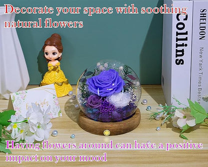 Valley of Rain & Forest Long-Lasting Real Flowers, Unique Floral Gift For you to send Love for All Occasions, for Indoor Decoration (Violet Rose, Purple & White Austin Roses)