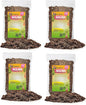 Gardenera Nolina Potting Mix - Unlock Robust Growth and Striking Structure with Our High-Performance Formula - 20 Quart