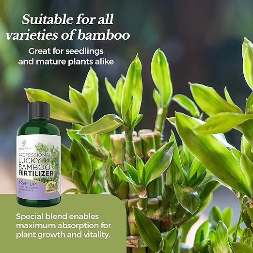 Professional Liquid Lucky Bamboo Fertilizer | 3-1-2 Concentrate for Flowering Plants | Multi-Purpose Blend & Gardening Supplies | 8 oz Bottle