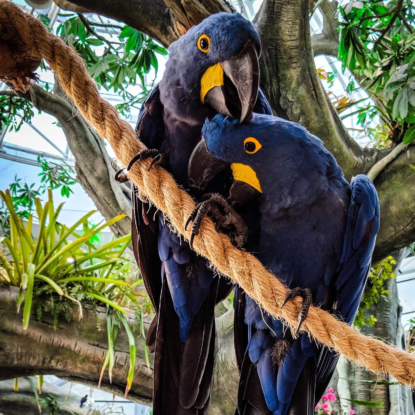 Versatile and Durable 1 Inch x 100 Ft Jute Rope - Ideal for Tug of War, Swings, DIY Crafts, Gardening, Home Decor, and Hammocks