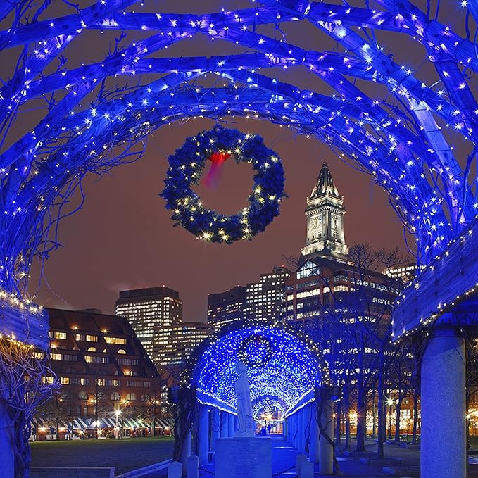 HOME LIGHTING 66ft Christmas Decorative Mini Lights, 200 LED Green Wire Fairy Starry String Lights Plug in, 8 Lighting Modes, for Indoor Outdoor Xmas Tree Wedding Party Decoration (Blue)